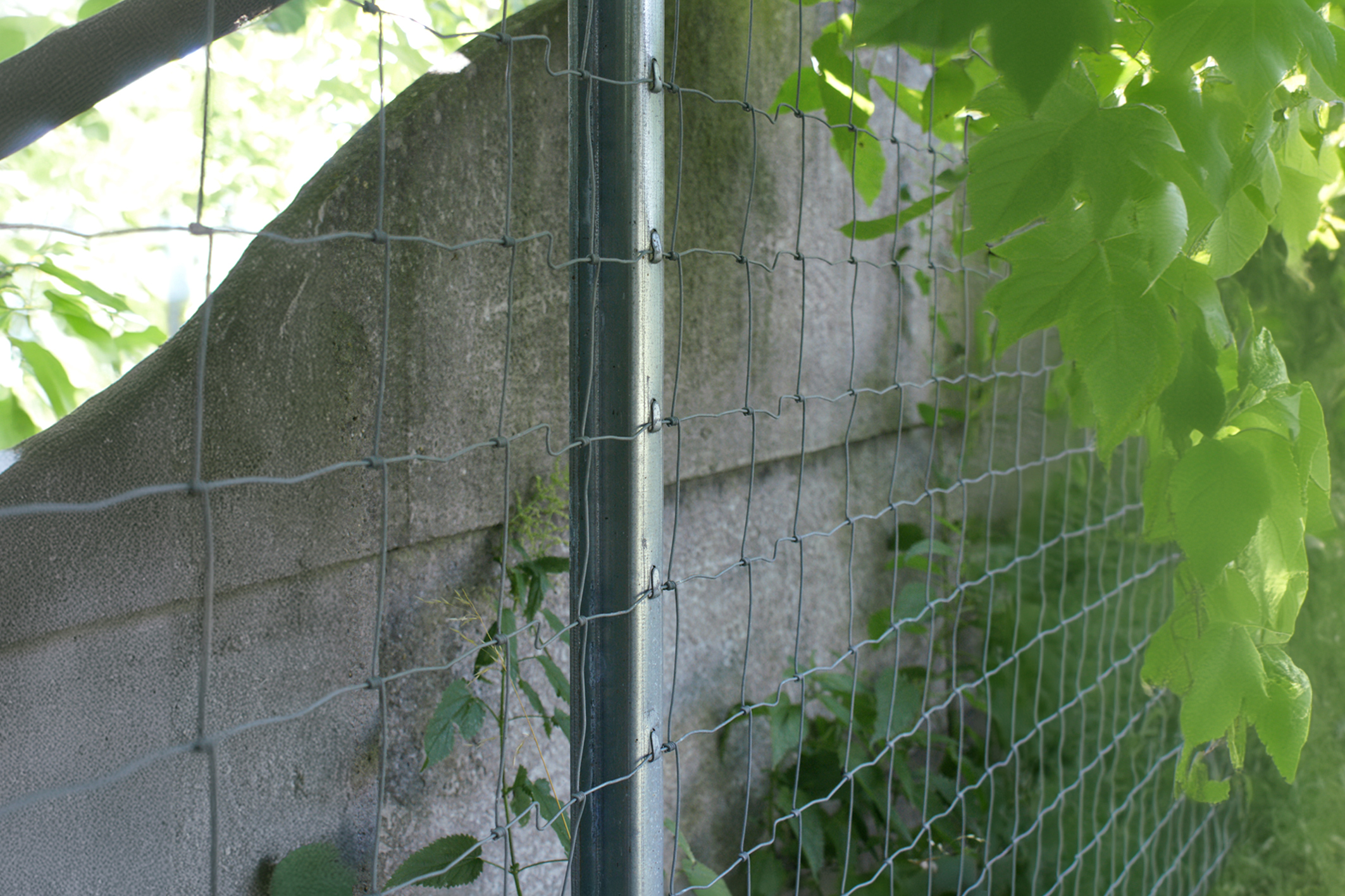 Słupek Z do siatki leśnej